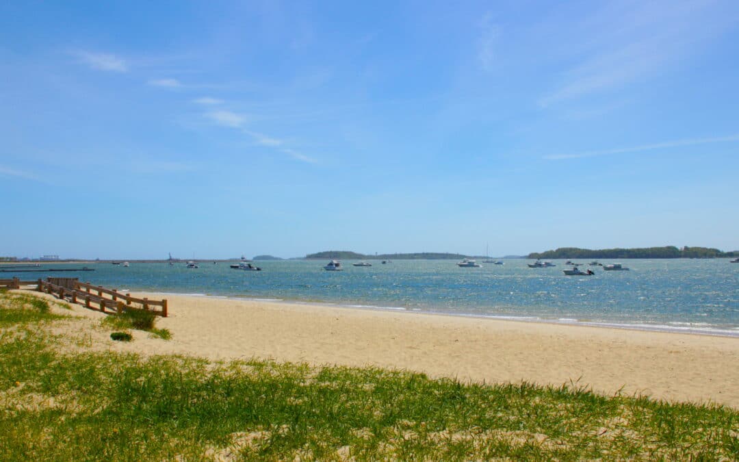 Southie beaches to enjoy this summer